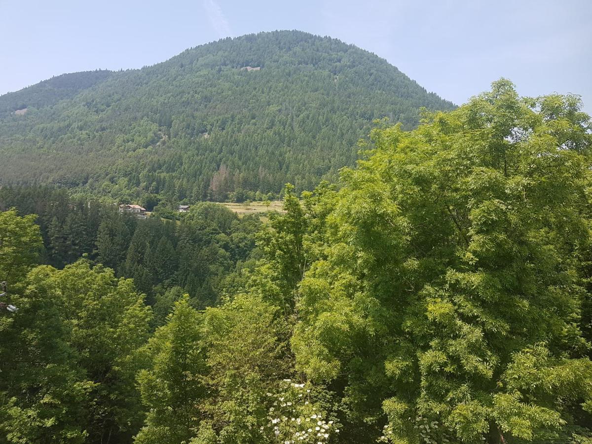 Appartamento Altipiano Pine 2 Bedollo Екстер'єр фото